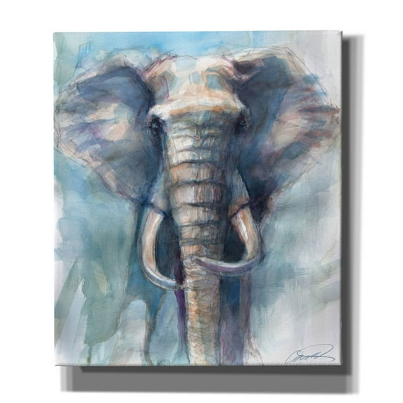 Epic Graffiti 'Gentle Giant Elephant' by Robert Campbell, Canvas Wall Art, 26"x30"