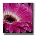 thumbnail image 1 of Epic Graffiti 'Gerbera Daisy' by Pamela Plummer, Canvas Wall Art, 12"x12", 1 of 8