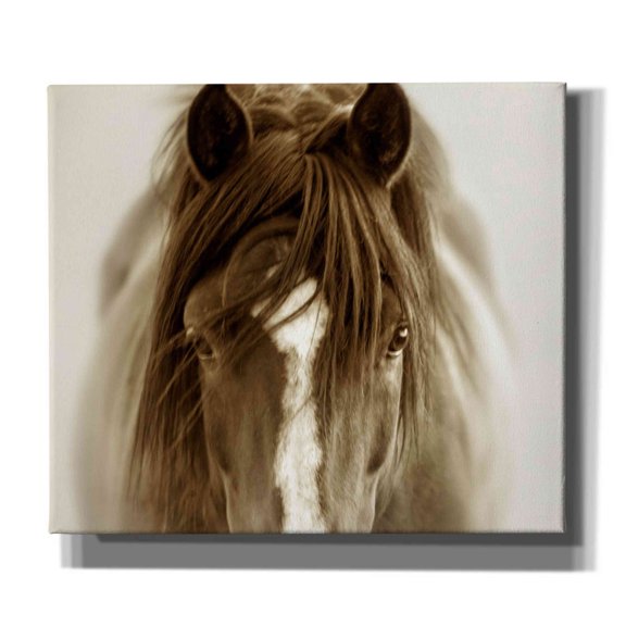 Epic Graffiti 'Ghost Horse' by Lisa Dearing, Giclee Canvas Wall Art, 30"x26"