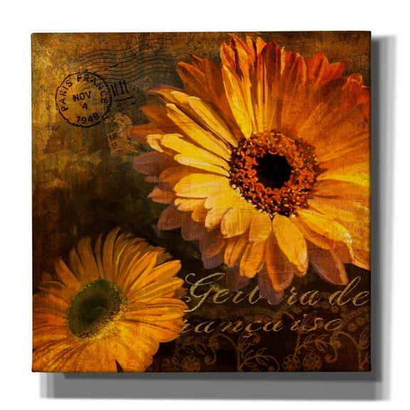 Epic Graffiti 'Golden Gerbera 4'  by Art Licensing Studio Canvas Wall Art, 37" x 37"