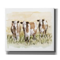 Epic Graffiti 'Golden Graze II' by Grace Popp, Canvas Wall Art, 30"x26"