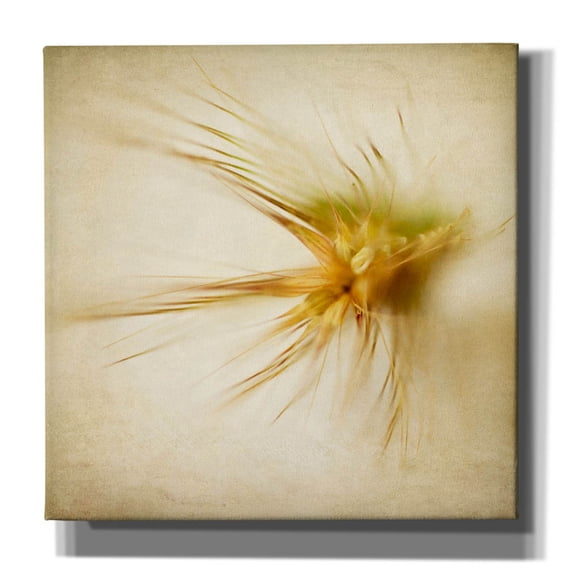 Epic Graffiti 'Grasses 2' by Jessica Rogers, Canvas Wall Art, 37"x37"