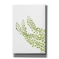 thumbnail image 1 of Epic Graffiti 'Green Bliss' by Jessica Mingo, Canvas Wall Art, 18"x26", 1 of 2
