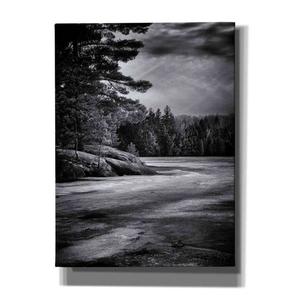 Epic Graffiti 'Gullwing Lake No 4' by Brian Carson, Giclee Canvas Wall Art, 40"x54"