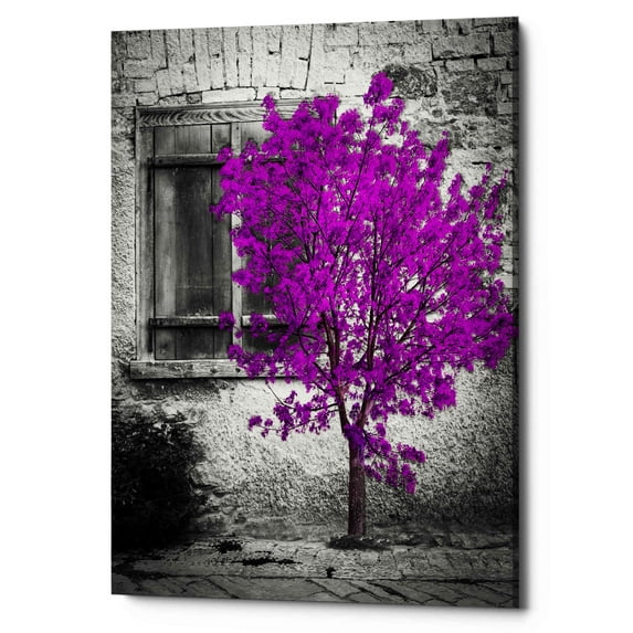 Epic Graffiti "Harmony" Giclee Canvas Wall Art, 12"x16" 12" x 16"