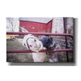 thumbnail image 1 of Epic Graffiti 'Hey Donkeys II' by Donnie Quillen, Canvas Wall Art, 18"x12", 1 of 2