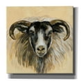 thumbnail image 1 of Epic Graffiti 'Highland Animal Ram' by Silvia Vassileva, Canvas Wall Art, 26"x26", 1 of 8
