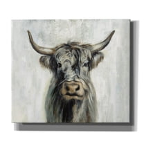 Epic Graffiti 'Highland Cow Horizontal' by Silvia Vassileva, Canvas Wall Art, 30"x26"