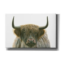 Epic Graffiti 'Highlander' by James Wiens, Canvas Wall Art, 18"x12"