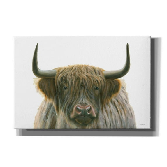 Epic Graffiti 'Highlander' by James Wiens, Canvas Wall Art, 60"x40"