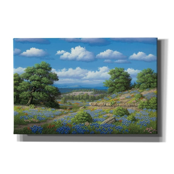 Epic Graffiti 'Hill Country Blues' by R. Hed, Canvas Wall Art, 60"x40"