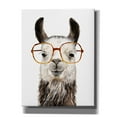 thumbnail image 1 of Epic Graffiti 'Hip Llama III' by Victoria Borges, Canvas Wall Art, 26"x34", 1 of 2