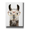 thumbnail image 1 of Epic Graffiti 'Hip Llama III' by Victoria Borges, Canvas Wall Art, 40"x54", 1 of 2