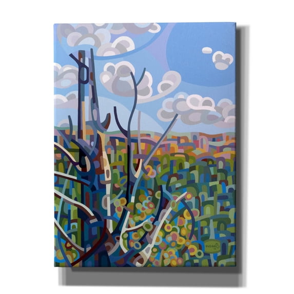 Epic Graffiti 'Hockley Valley' by Mandy Budan, Canvas Wall Art, 12"x16"