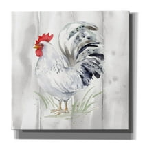 Epic Graffiti 'Home To Roost 4 Barn Board'  by Katrina Pete Canvas Wall Art, 37" x 37"