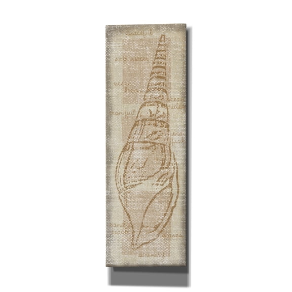 Epic Graffiti 'Horn Shell'  by Erin Clark Canvas Wall Art, 12" x 36"