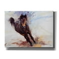 thumbnail image 1 of Epic Graffiti 'Horse Having Fun' by Robert Campbell, Canvas Wall Art, 16"x12", 1 of 8