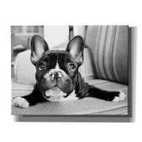 Epic Graffiti 'Hugo' by Kim Levin, Canvas Wall Art, 34"x26"