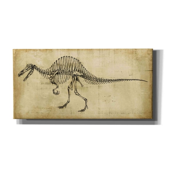 Epic Graffiti 'Spinosaurus Study' by Ethan Harper Canvas Wall Art, 40"x20"