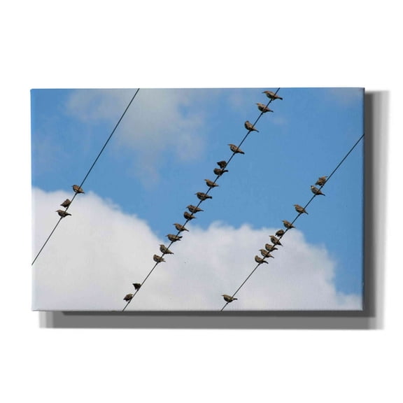 Epic Graffiti 'Humanwatching' by Epic Portfolio, Giclee Canvas Wall Art, 60"x40"