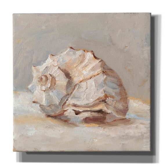 Epic Graffiti "Impressionist Shell Study II" by Ethan Harper, Canvas Wall Art, 18"x18"