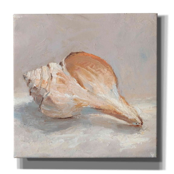 Epic Graffiti "Impressionist Shell Study III" by Ethan Harper, Canvas Wall Art, 18"x18"