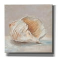 thumbnail image 1 of Epic Graffiti "Impressionist Shell Study IV" by Ethan Harper, Canvas Wall Art, 18"x18", 1 of 8