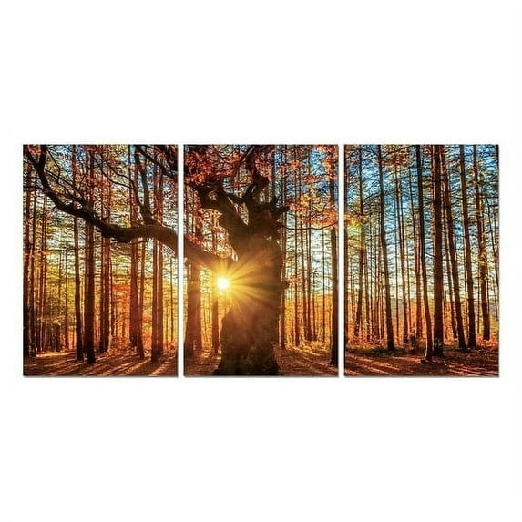 Epic Graffiti "Into The Woods" Acrylic Wall Art, 42" x 20"