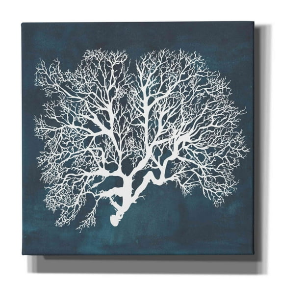 Epic Graffiti 'Inverse Sea Fan III' by Grace Popp, Canvas Wall Art, 26"x26"