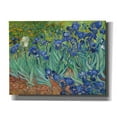 thumbnail image 1 of Epic Graffiti 'Irises' by Vincent van Gogh, Canvas Wall Art, 34"x26", 1 of 8
