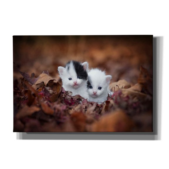 Epic Graffiti 'Kitten Twins' by Jonathan Ross, Canvas Wall Art, 26"x18"