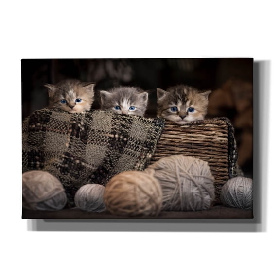 Epic Graffiti 'Kittens In A Basket' by Jonathan Ross, Canvas Wall Art, 26"x18"
