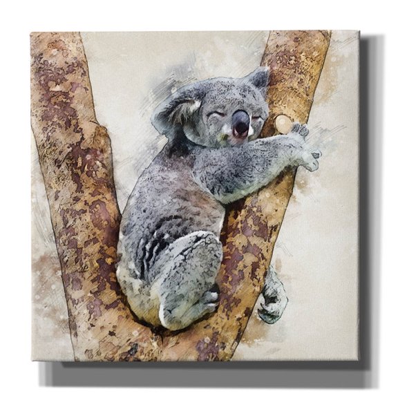 Epic Graffiti 'Koala 4' by Kim Curinga, Canvas Wall Art, 37"x37"