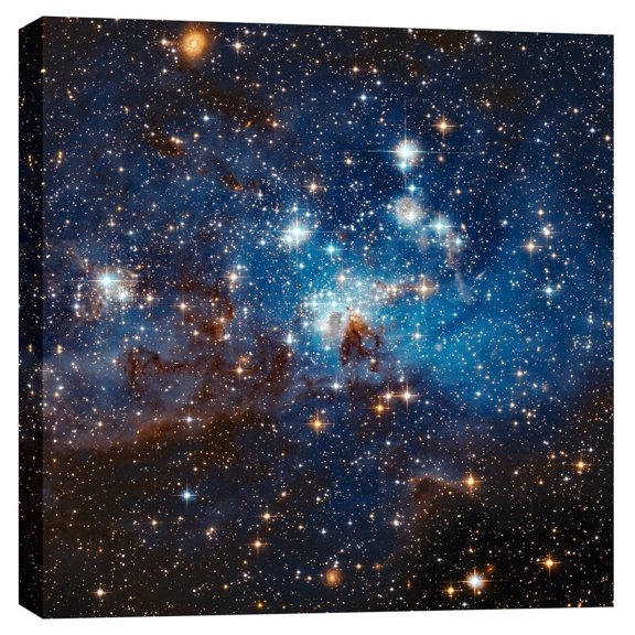 Epic Graffiti "LH 95 Star Cluster" Hubble Space Telescope Giclee Canvas Wall Art 18" x 18"