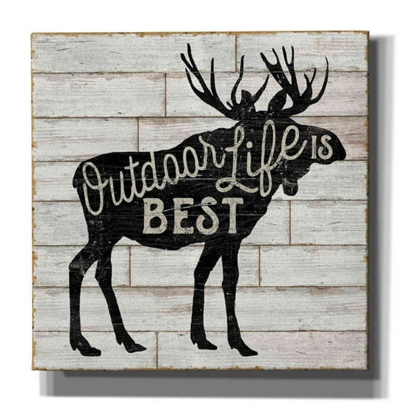 Epic Graffiti 'Lake Lodge I' by Sue Schlabach, Canvas Wall Art, 18"x18"