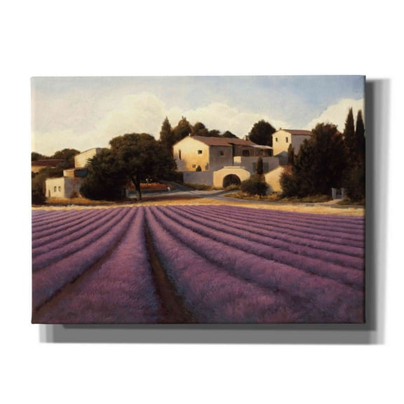 Epic Graffiti 'Lavender Fields I' by James Wiens, Canvas Wall Art, 54"x40"