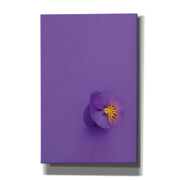 Epic Graffiti 'Lavender Pansy' by Incado Canvas Wall Art, 26" x 40"
