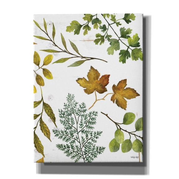 Epic Graffiti 'Leaf Patterns II' by Cindy Jacobs, Canvas Wall Art, 40"x54"