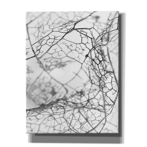 Epic Graffiti 'Leaf Skeleton BW' by Design Fabrikken, Giclee Canvas Wall Art, 26"x34"