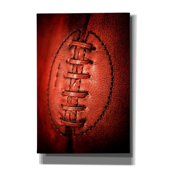 Epic Graffiti 'Leather' by Philippe Sainte-Laudy, Canvas Wall Art, 12"x18"