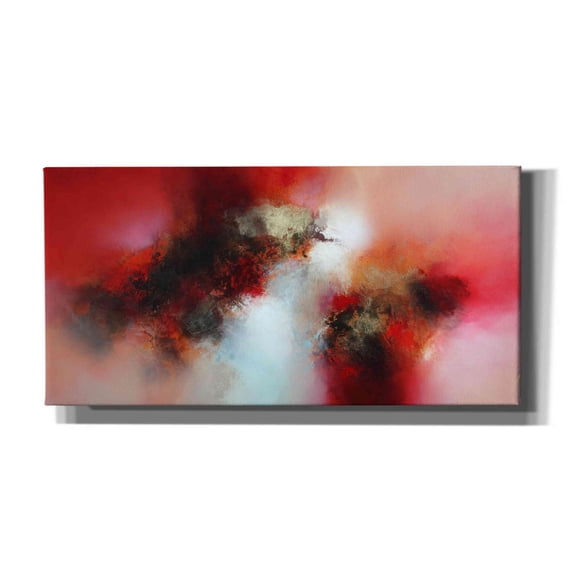 Epic Graffiti 'Lightyears away' by Eelco Maan, Giclee Canvas Wall Art, 60"x30"