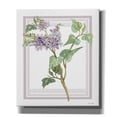thumbnail image 1 of Epic Graffiti 'Lilacs V' by Cindy Jacobs, Canvas Wall Art, 26"x30", 1 of 2