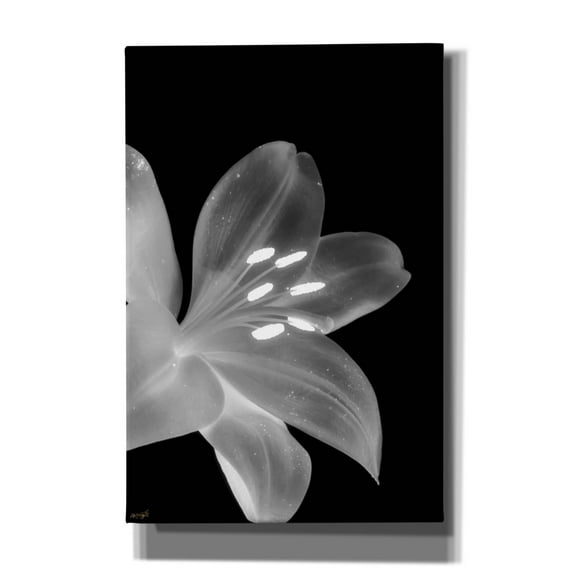 Epic Graffiti 'Lily 3'  by Life BeautifuLEE Canvas Wall Art, 40" x 60"