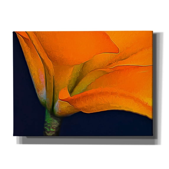 Epic Graffiti 'Lily Dressed In Orange' by Pamela Plummer, Canvas Wall Art, 16"x12"