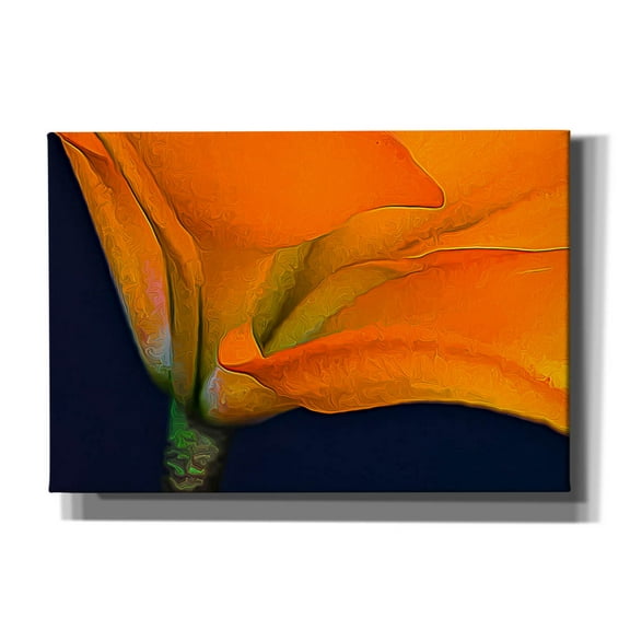 Epic Graffiti 'Lily Dressed In Orange' by Pamela Plummer, Canvas Wall Art, 26"x18"