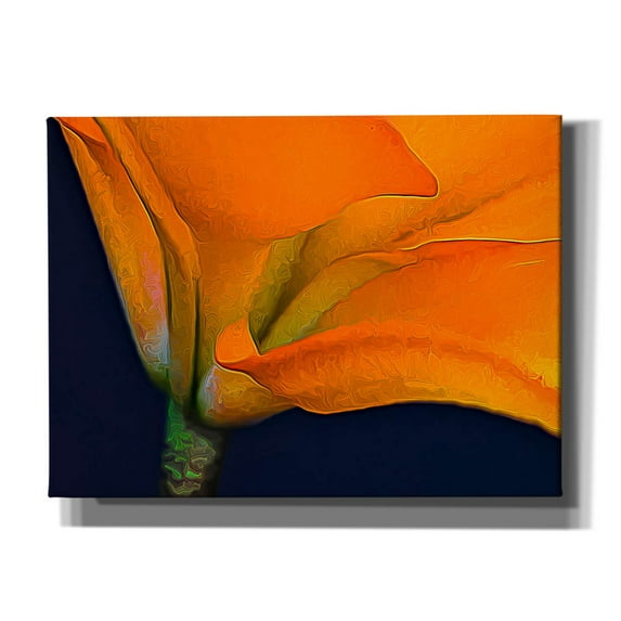 Epic Graffiti 'Lily Dressed In Orange' by Pamela Plummer, Canvas Wall Art, 54"x40"