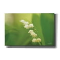 thumbnail image 1 of Epic Graffiti 'Lily of the Valley' by Martin Podt, Canvas Wall Art, 40"x26", 1 of 2