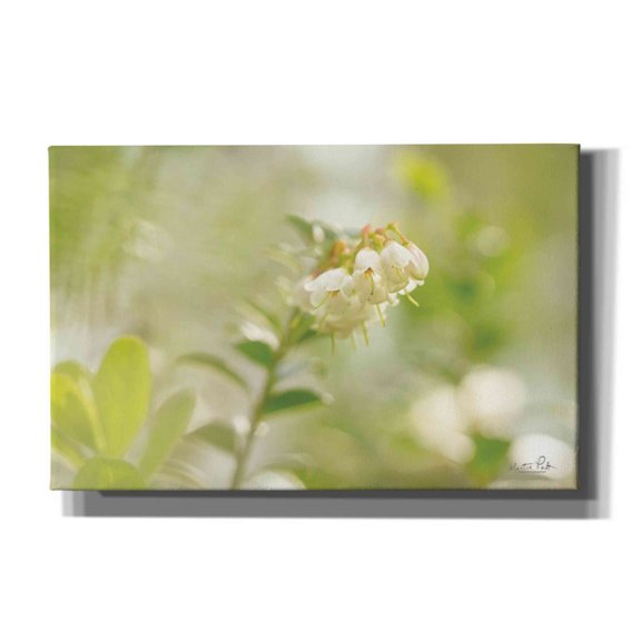 Epic Graffiti 'Lingonberry' by Martin Podt, Canvas Wall Art, 40"x26"