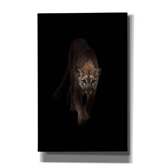 Epic Graffiti 'Lion' by Incado, Giclee Canvas Wall Art, 26"x40"