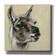 thumbnail image 1 of Epic Graffiti 'Llama Portrait' by Silvia Vassileva, Canvas Wall Art, 12"x12", 1 of 2